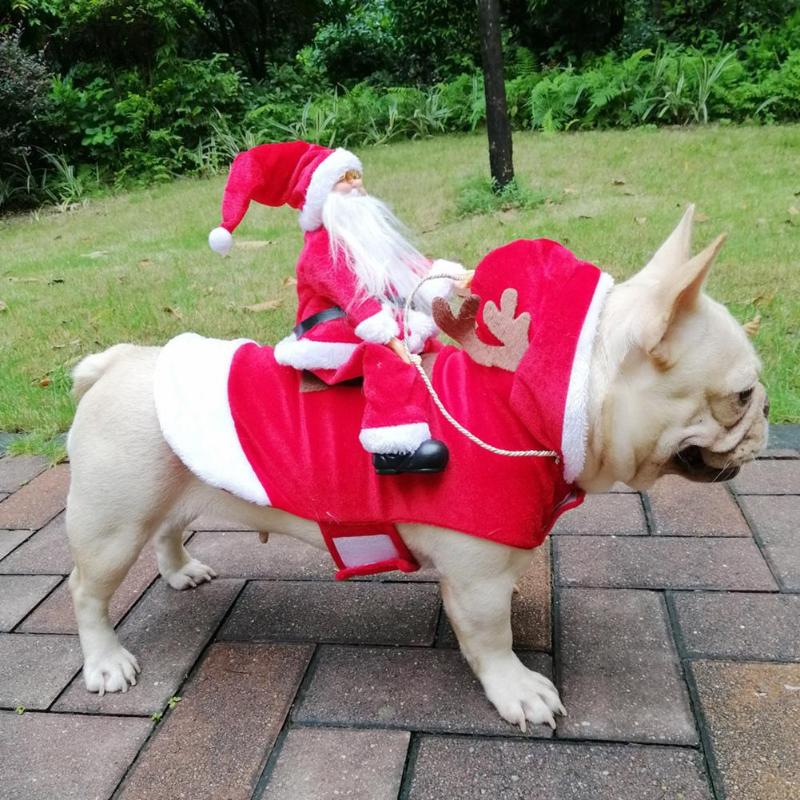 Pup's Holiday Cheer Santa Suit