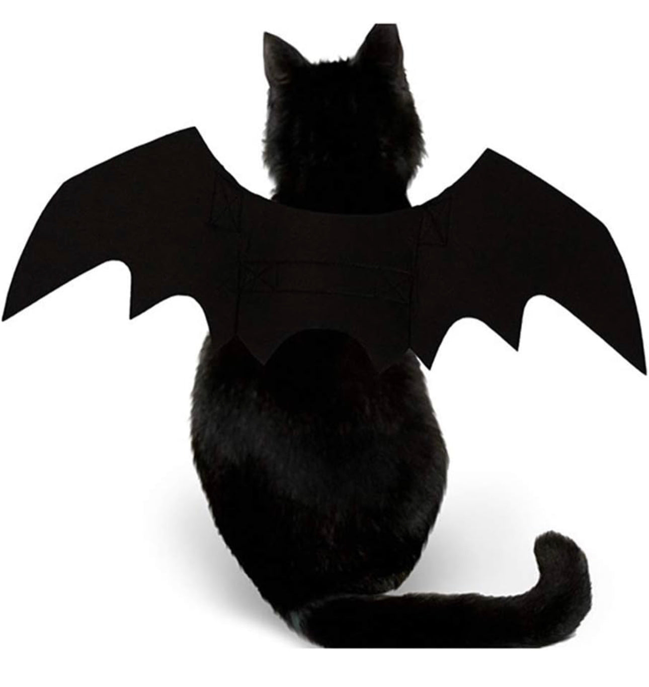 KittyFly Whimsical Bat Wings