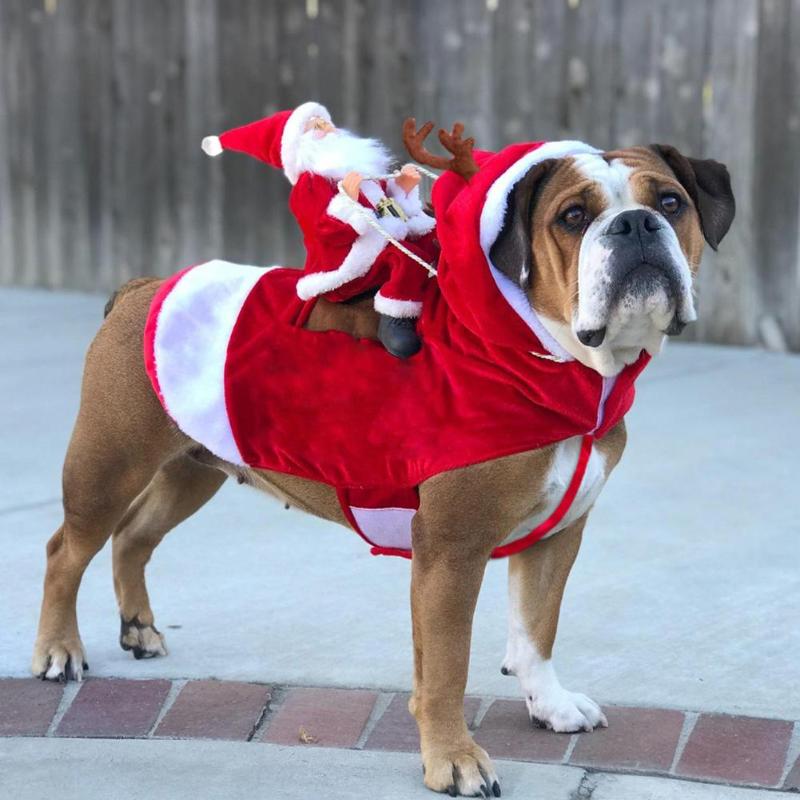 Pup's Holiday Cheer Santa Suit