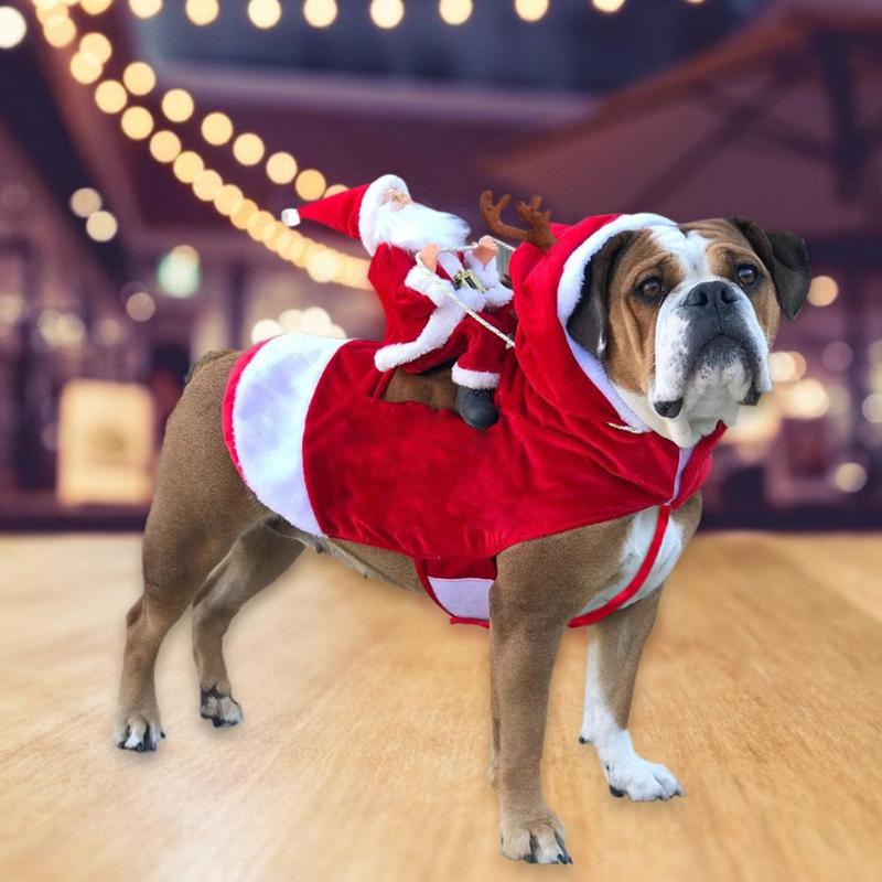 Pup's Holiday Cheer Santa Suit