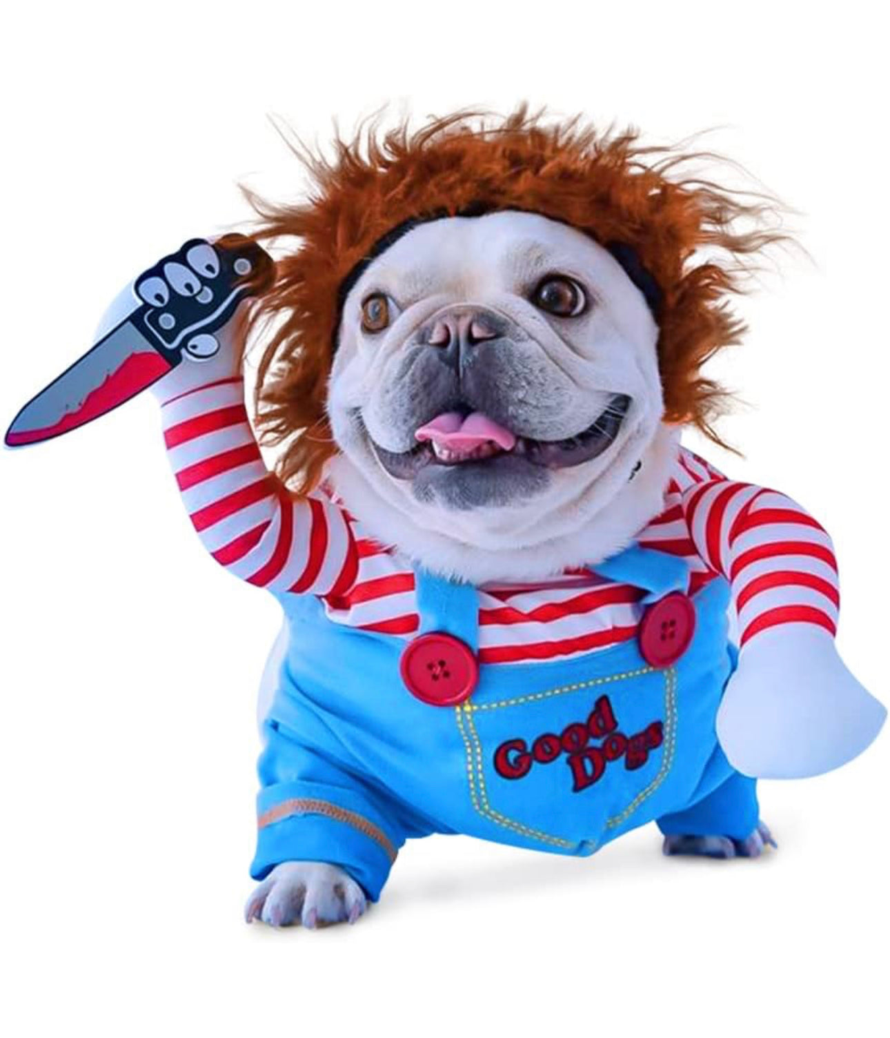 Chucky-Inspired Dog Costume