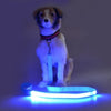 SafetyGlow LED Pet Leash