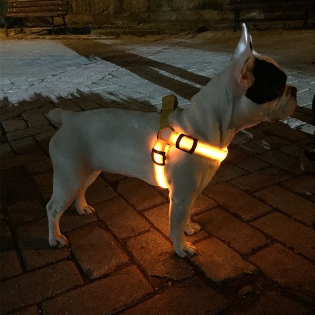 SafetyGlow LED Dog Vest Harness