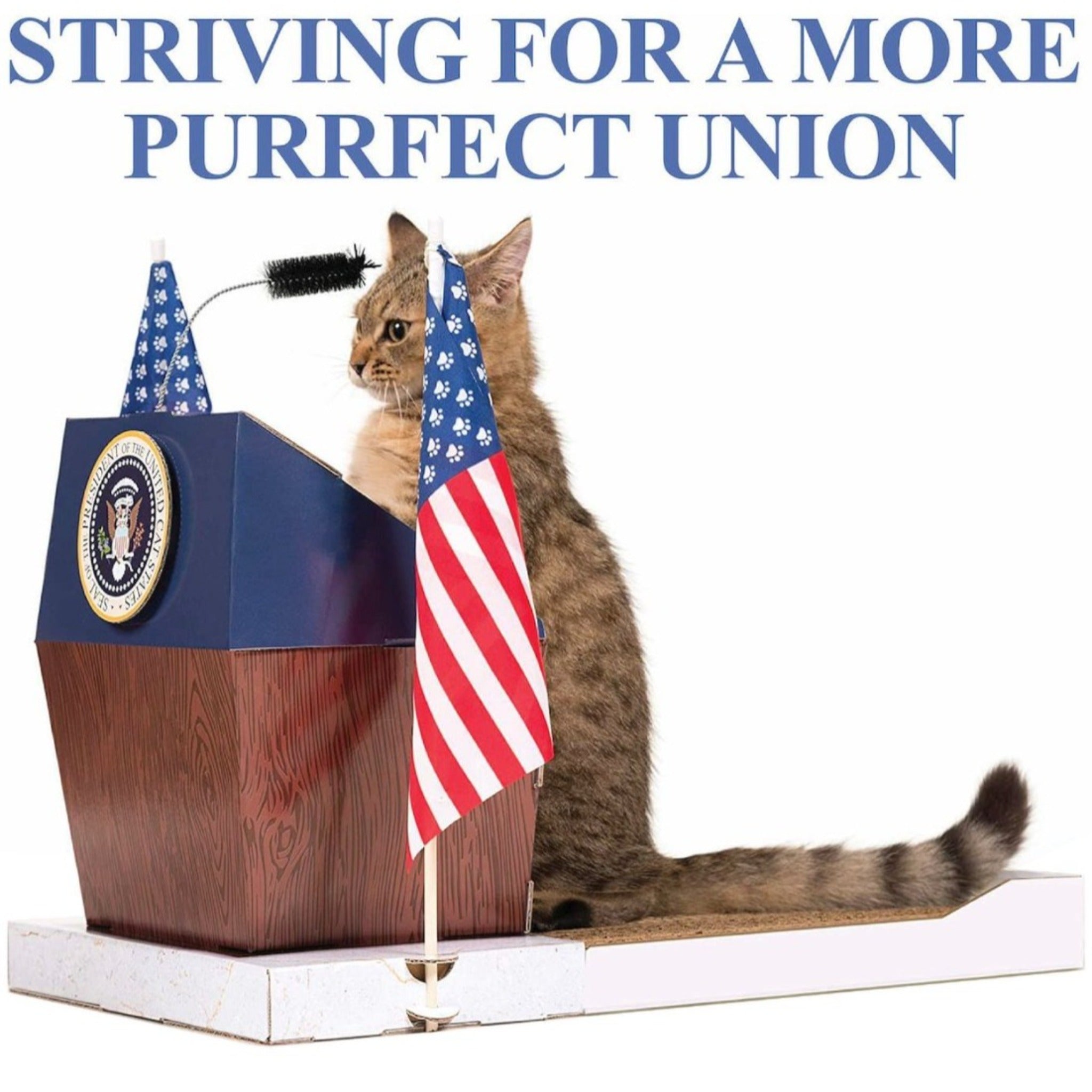 Presidential Podium Cat Scratcher