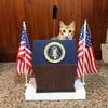 Presidential Podium Cat Scratcher