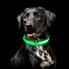 SafetyGlow LED Pet Collar