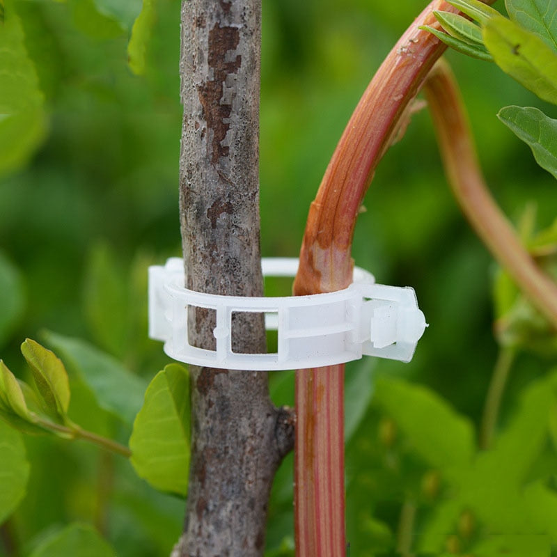 Reusable Plastic Plant Support Clips