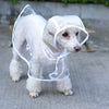 Stylish Doggy Raincoat