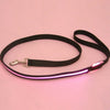 SafetyGlow LED Pet Leash