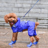 Adorable Dog Rain Boots