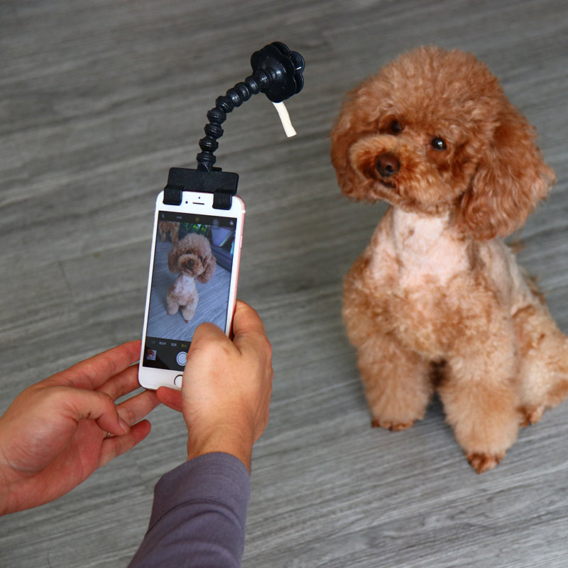 Pet Photography Attention Selfie Stick