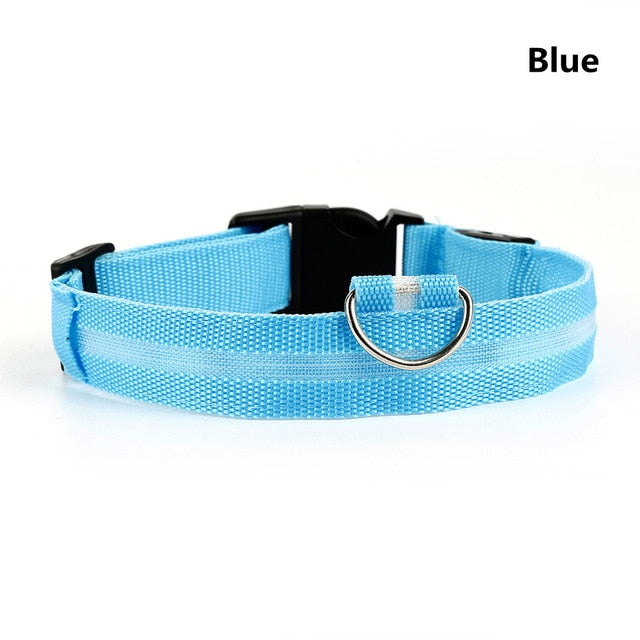 SafetyGlow LED Pet Collar