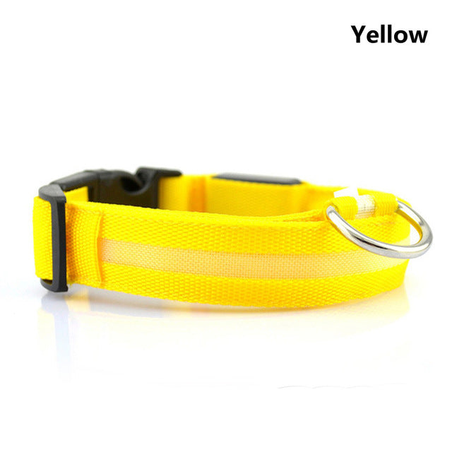 SafetyGlow LED Pet Collar