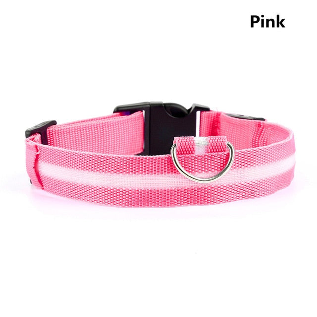 SafetyGlow LED Pet Collar