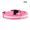 SafetyGlow LED Pet Collar